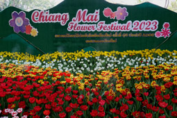 Chiang Mai 18°46'55