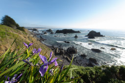 California, Lost Coast, USA 